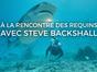 A la rencontre des requins avec Steve Backshall