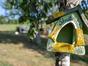 Garten und lecker