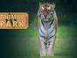 Animal Park