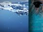 Natation : Championnats d'Europe