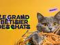 Le grand bêtisier des chats