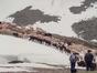 Crossing a Glacier With 1,400 Sheep