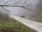 Grandes chasses en Seine-Maritime