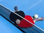 Tennis de table : Europe Smash
