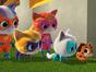 SuperChatons