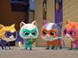 SuperChatons