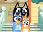 Bluey