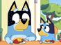 Bluey