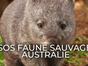 SOS faune sauvage - Australie