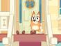 Bluey Minisodes