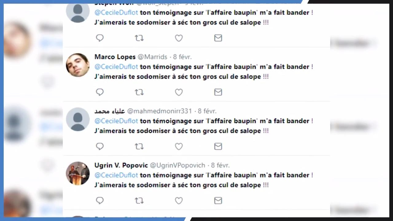 Affaire Baupin : Cécile Duflot harcelée sur Twitter après son témoignage