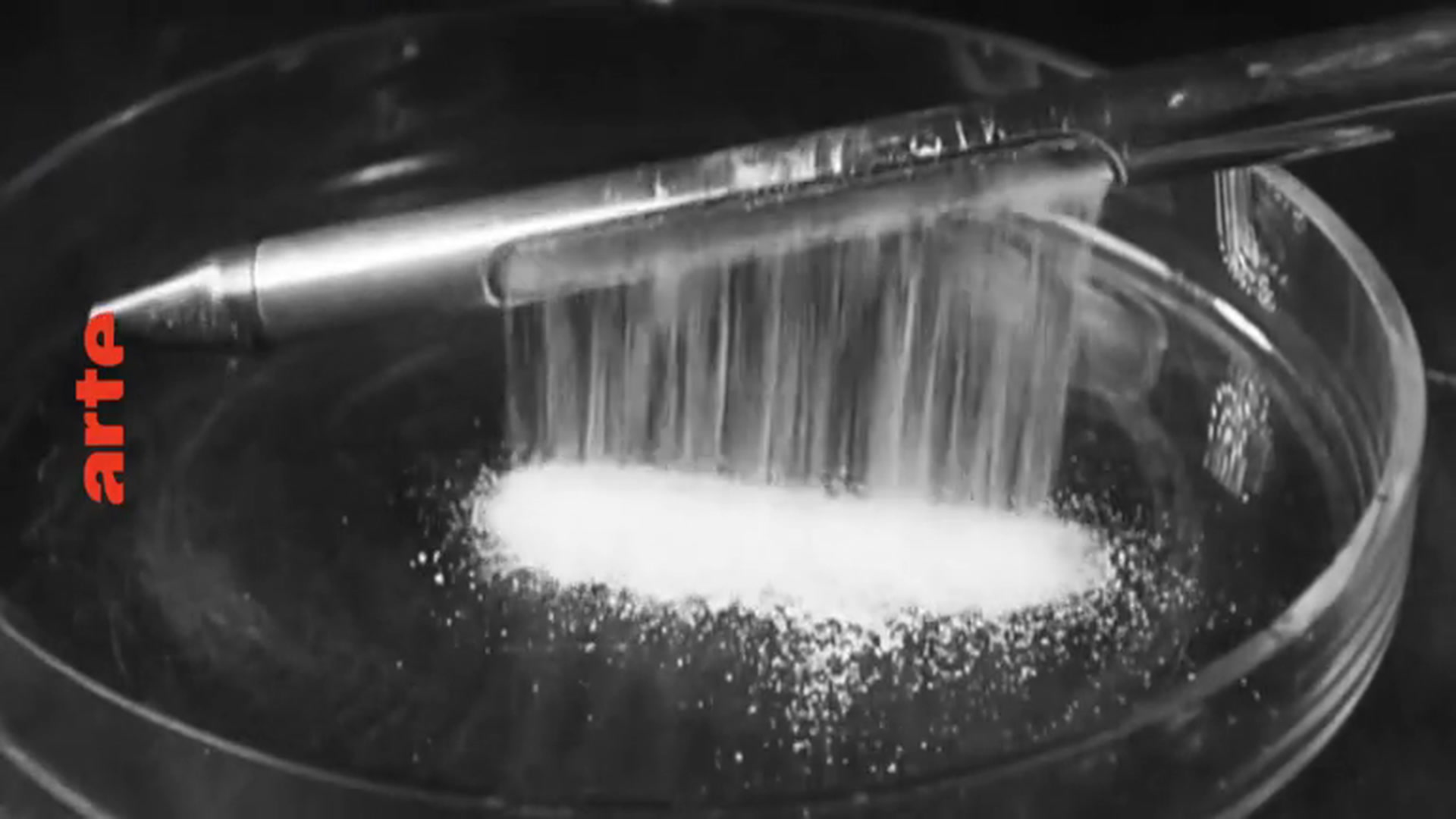 Histoire du trafic de drogue - VF