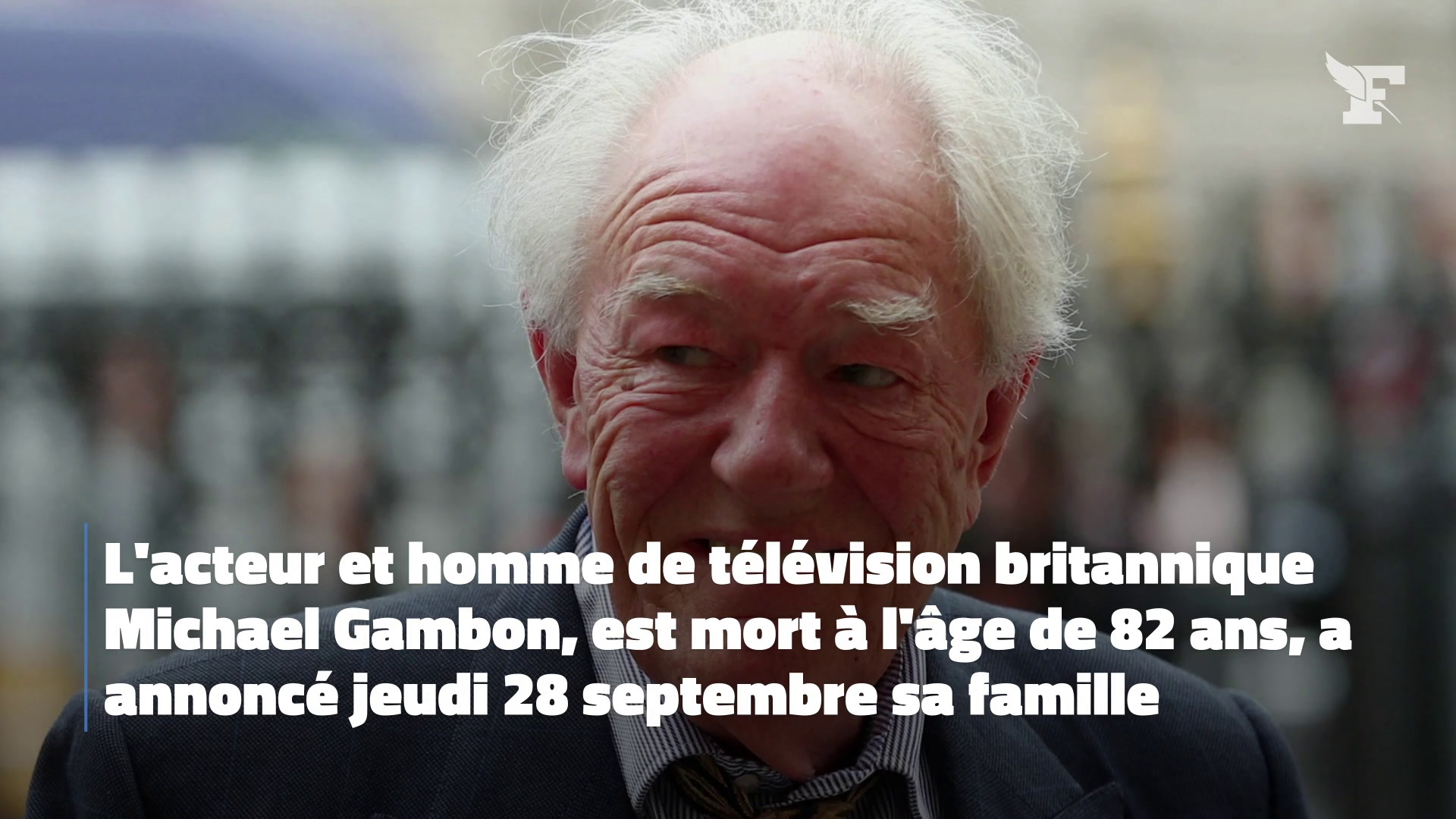 Michael Gambon Célèbre Acteur Britannique Qui A Interprété Dumbledore