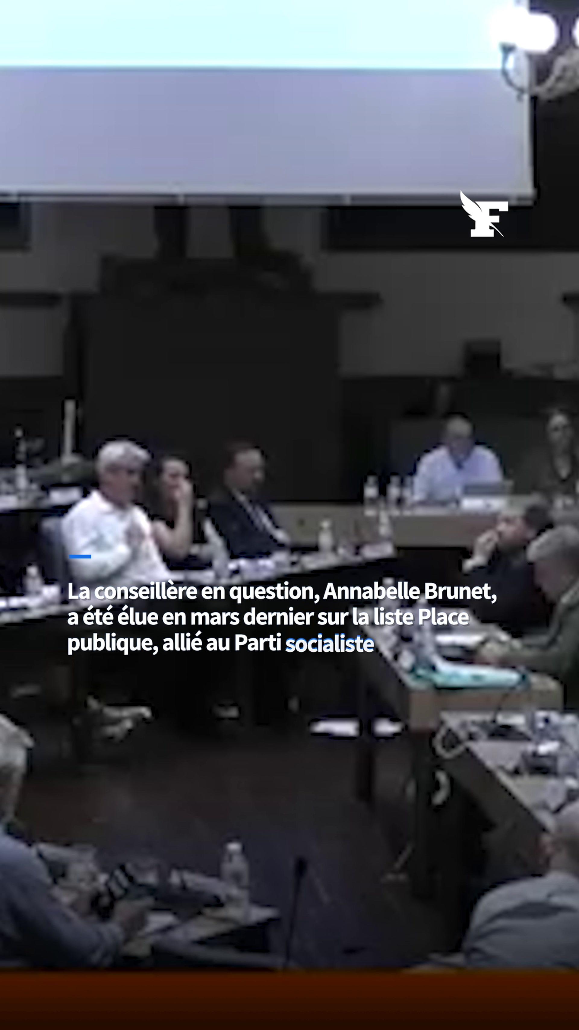 Louis Aliot et la mairie de Perpignan accusent une élue d'opposition d'avoir effectué un salut nazi en conseil municipal