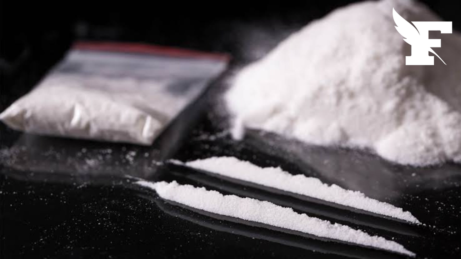 Bourgogne : saisie record de plus d'une demi-tonne de cocaïne