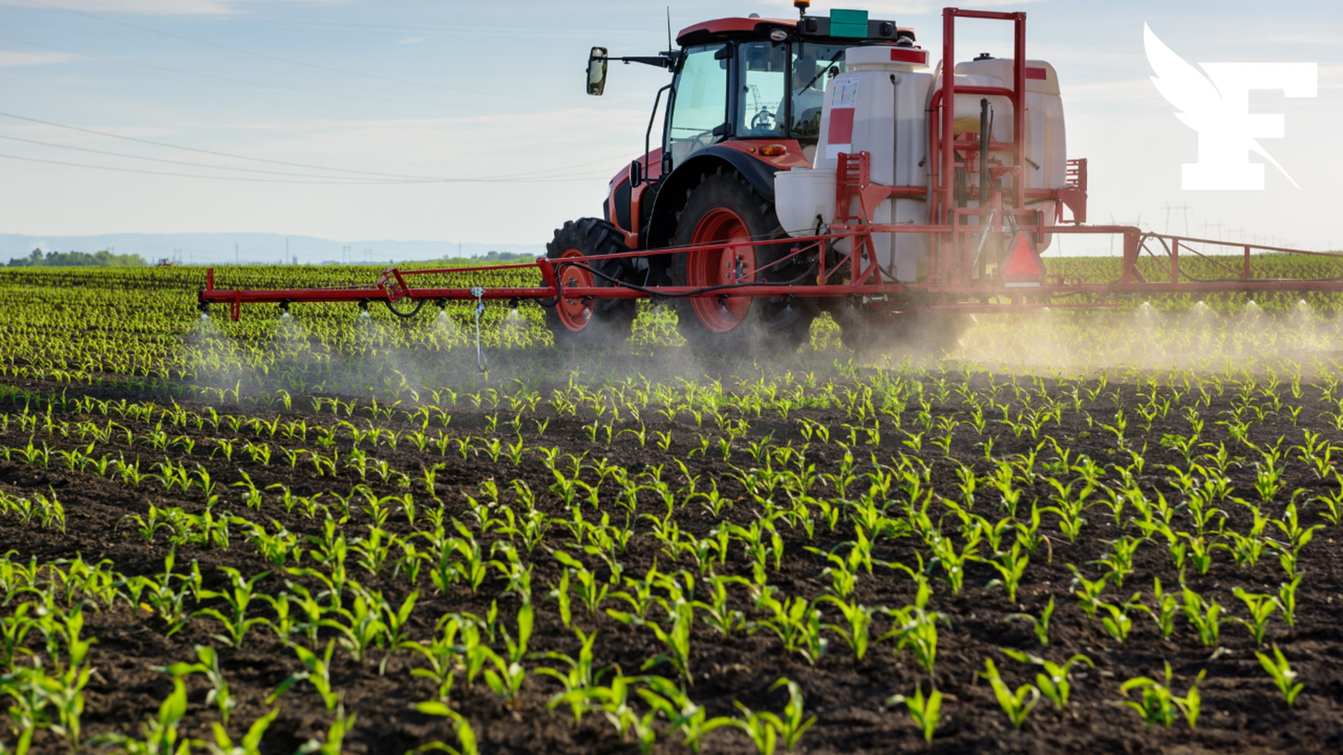 Loi Duplomb : les députés et les sénateurs aboutissent à un compromis admettant la réintroduction d’un pesticide