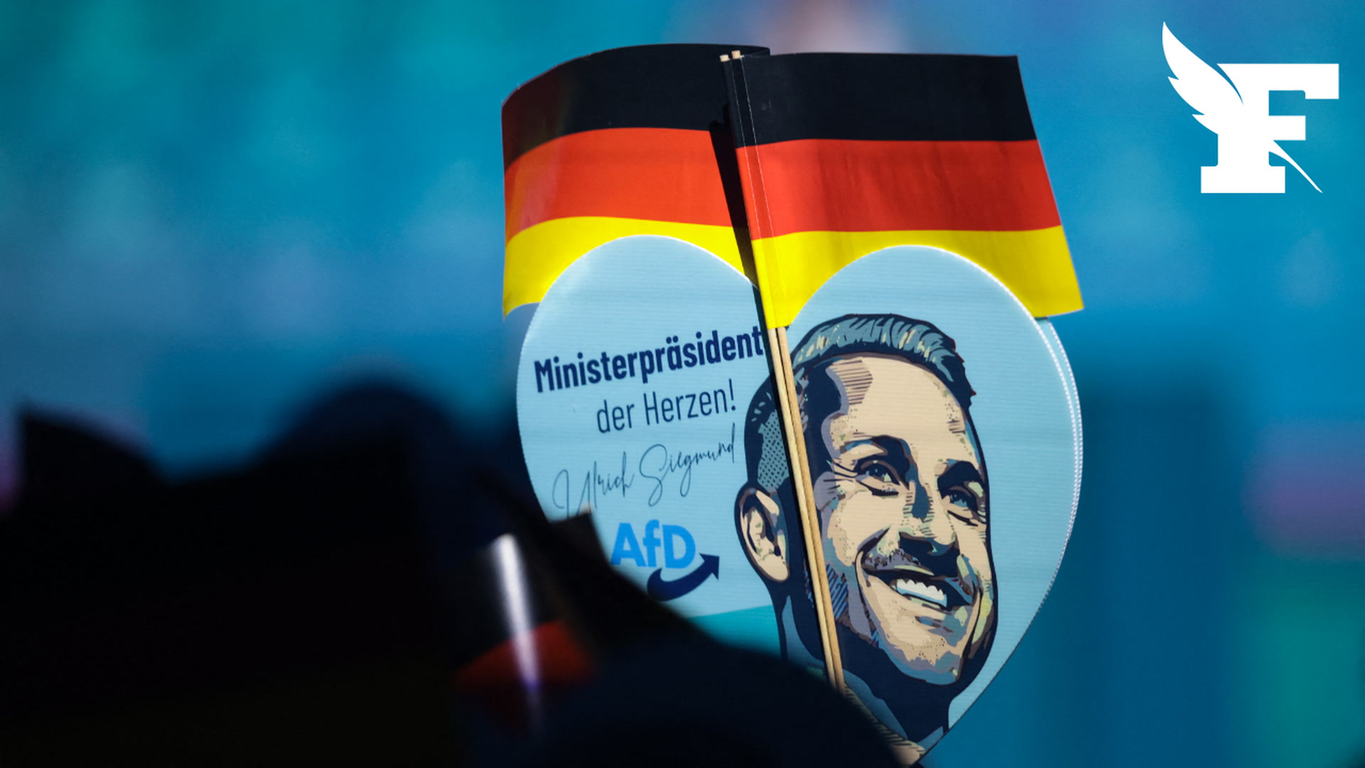 Élections régionales en Allemagne : en Saxe-Anhalt, le parti d'extrême droite AFD fait figure de favori