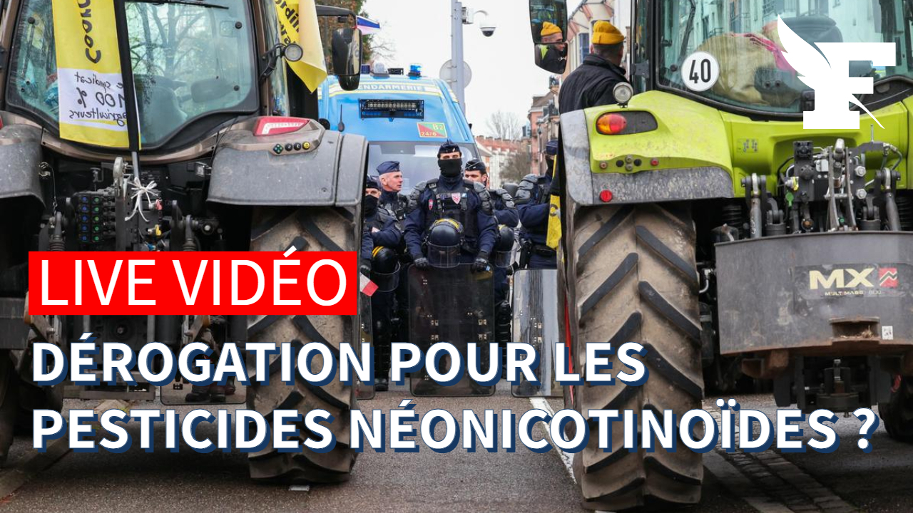 Approuvez-vous la dérogation accordée aux pour l’utilisation des pesticides néonicotino