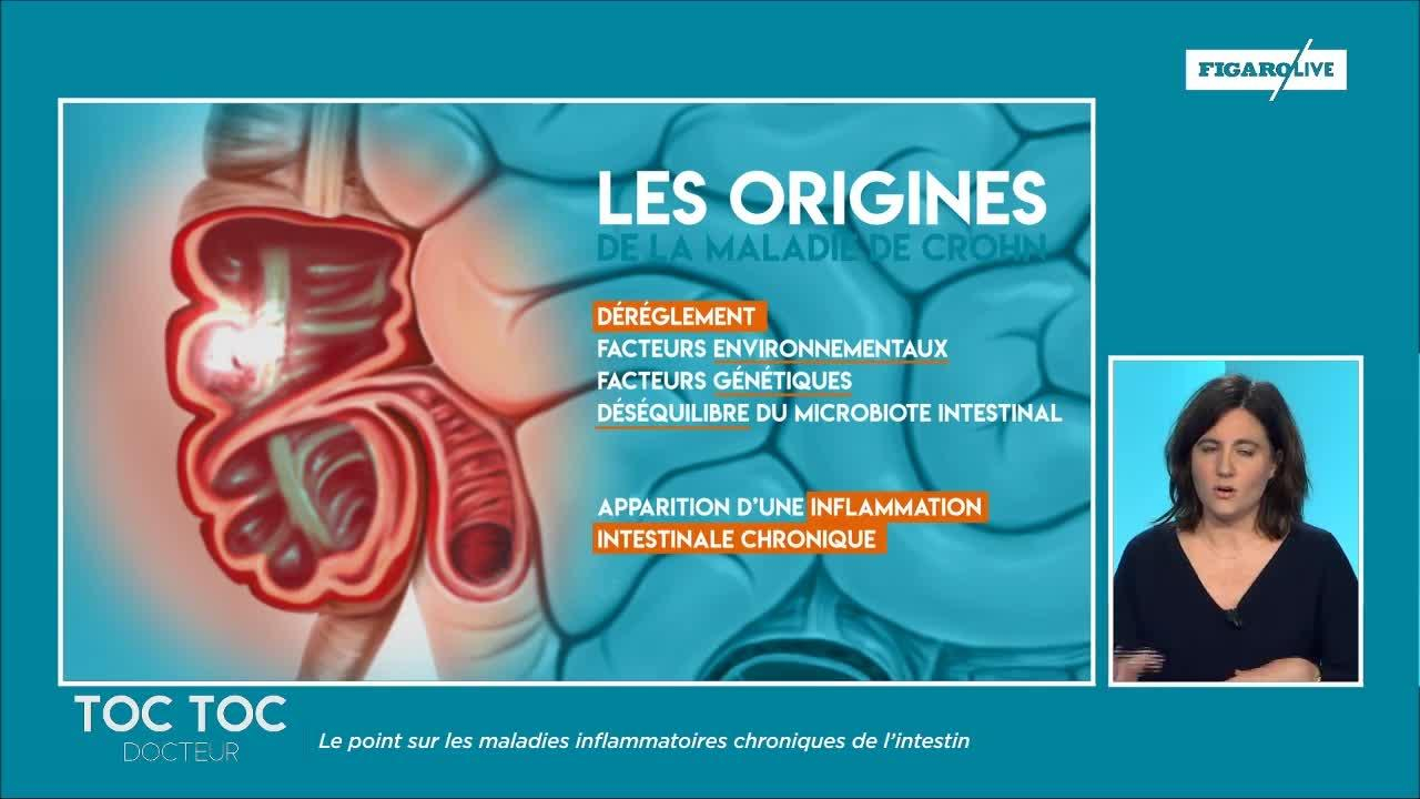 À quoi sont dues les maladies inflammatoires chroniques de l'intestin