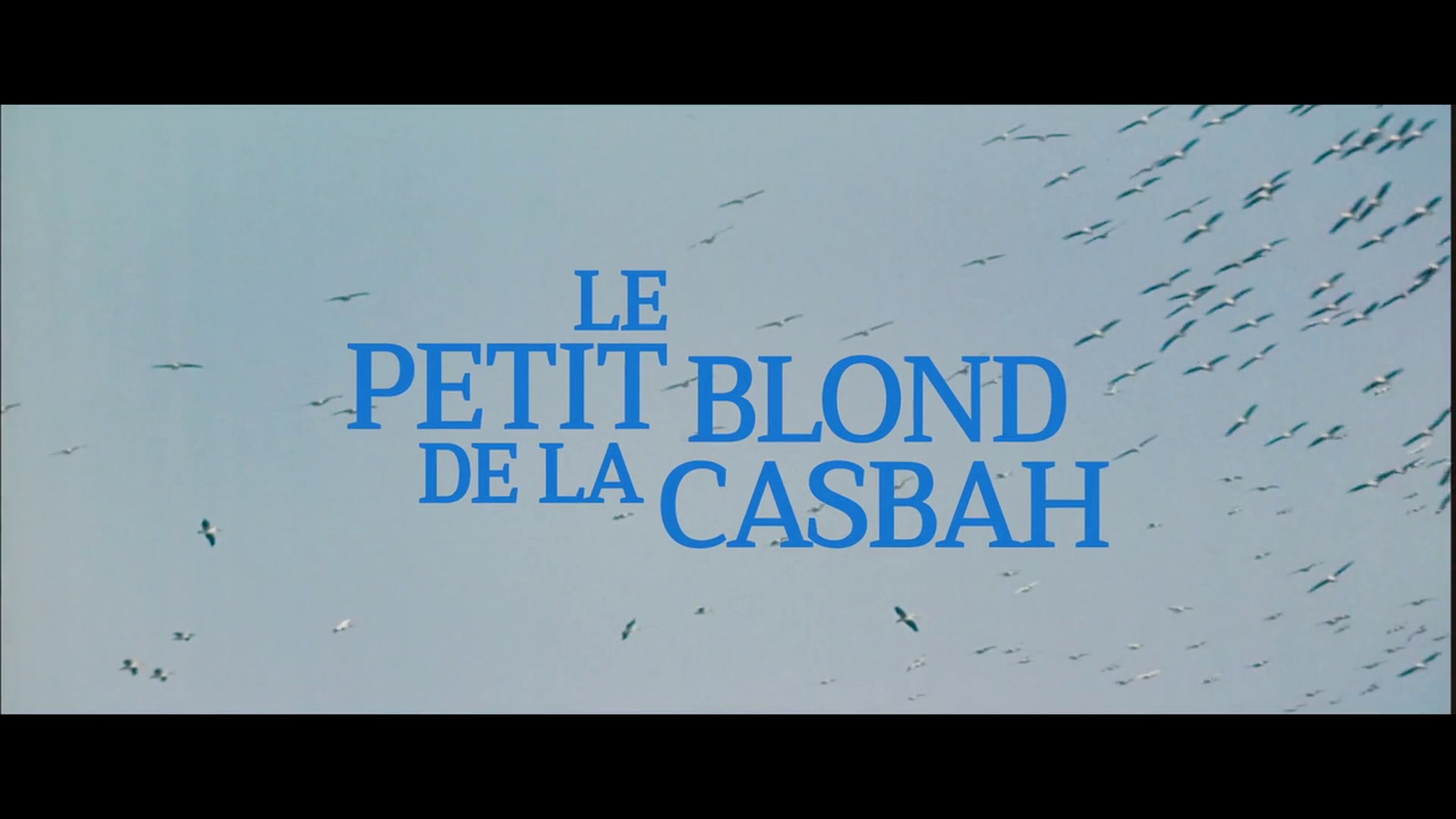 Le Petit Blond de la Casbah