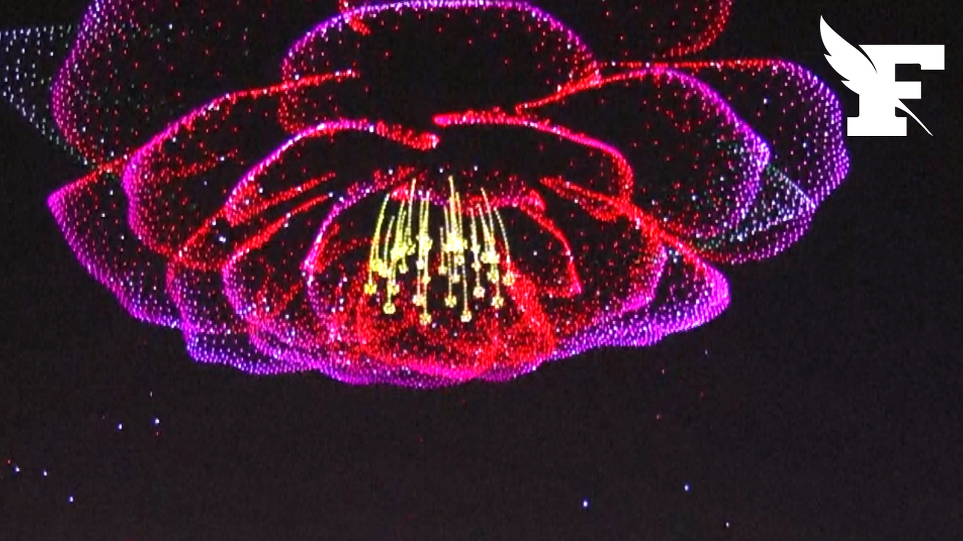 La Chine décroche le record du monde de drones dans un incroyable spectacle aérien