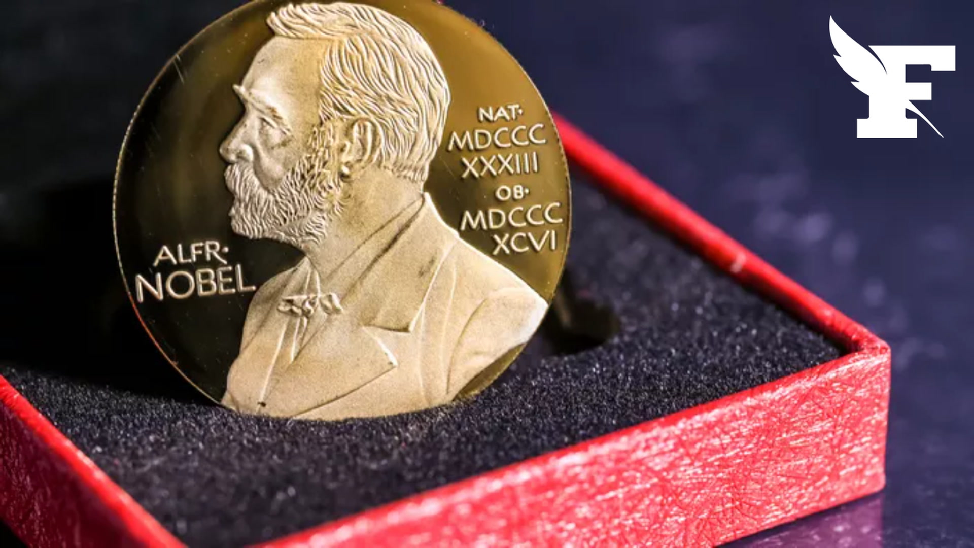 Le Prix Nobel de physique 2026 attribué à Francis Halzen récompensé pour ses travaux sur un détecteur géant de particules au Pôle sud