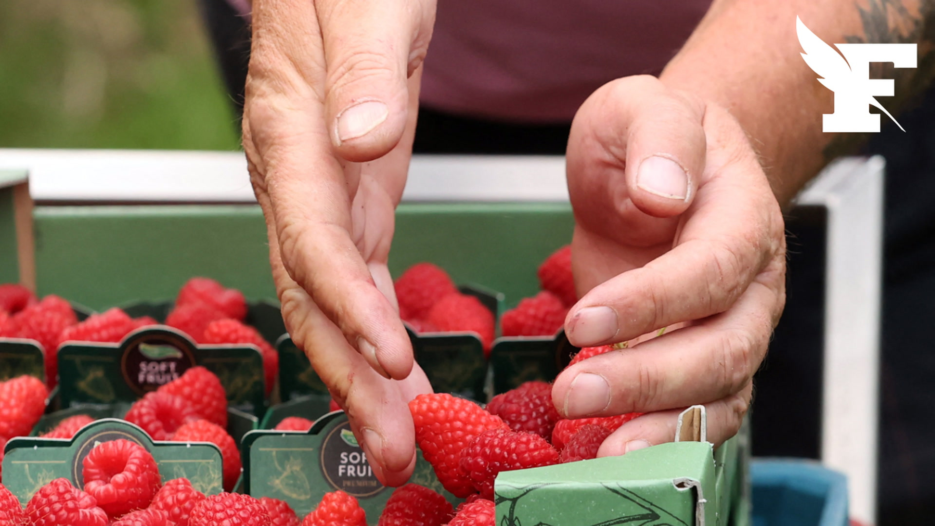 Loir-et-Cher: 100.000 euros d’amende pour avoir francisé des fruits rouges