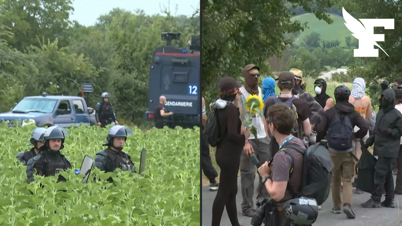Autoroute A69 : des tensions éclatent entre manifestants et forces de l'ordre