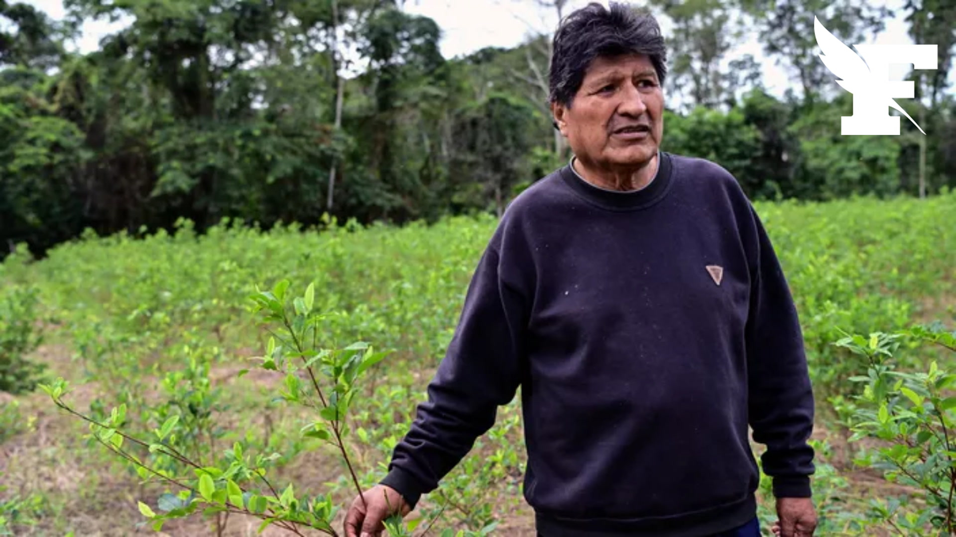 Le parquet général de Bolivie lance un mandat d’arrêt contre l'ancien président Evo Morales