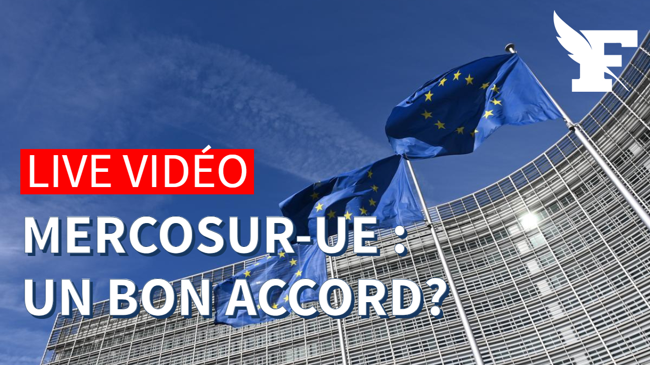 La France doit-elle approuver la nouvelle version du traité Mercosur ?
