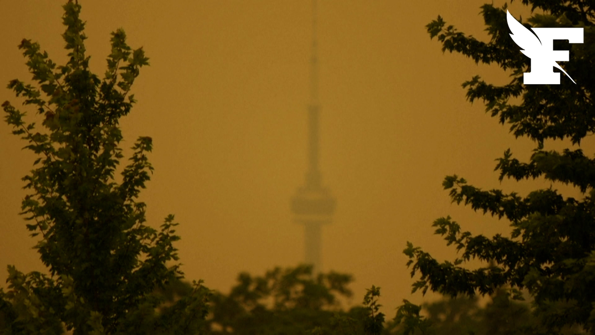 Canada : la situation est toujours critique en Ontario, plus de 200 feux sont hors de contrôle