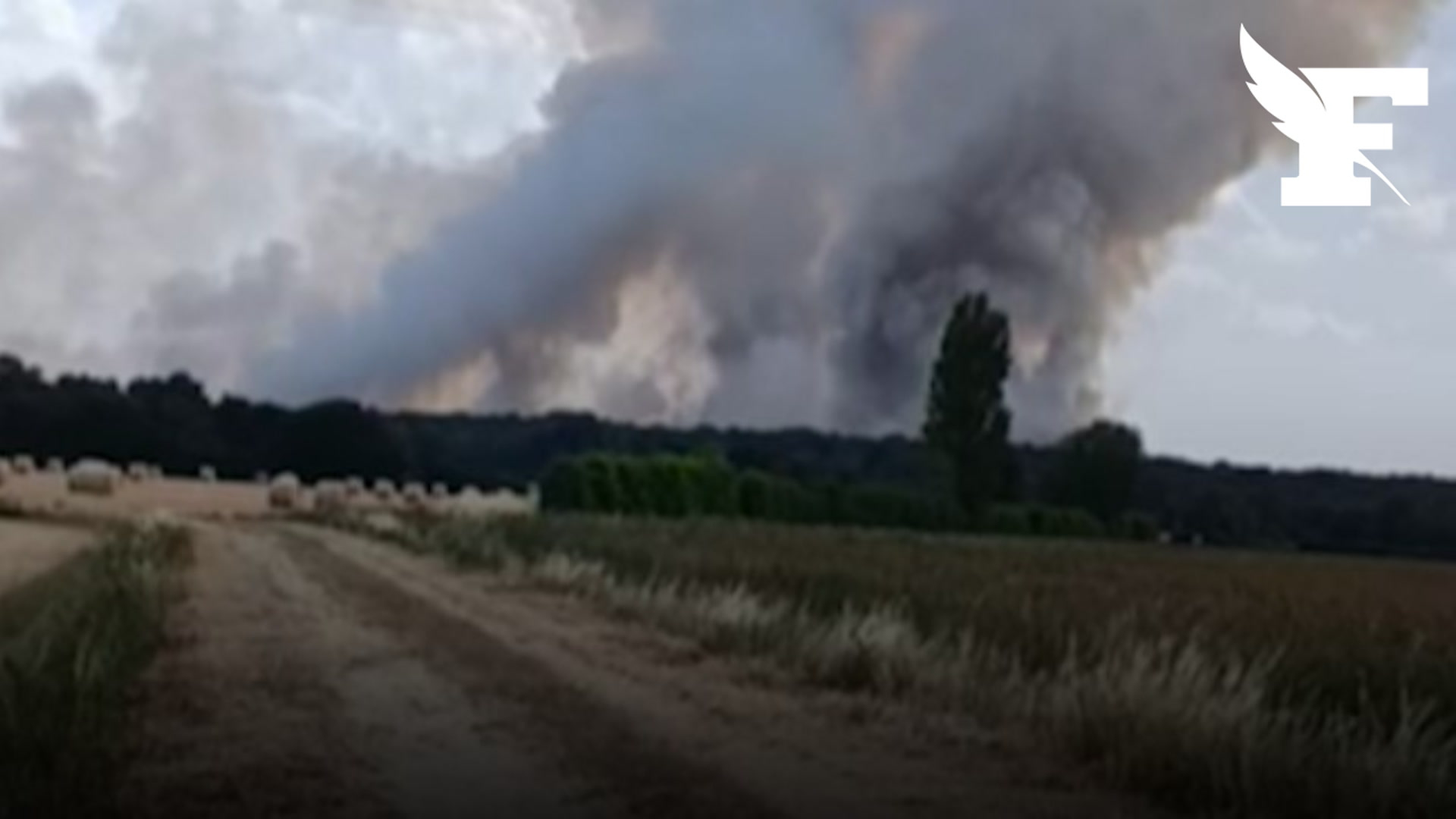 Les images des nouveaux feux de forêt dans plusieurs départements