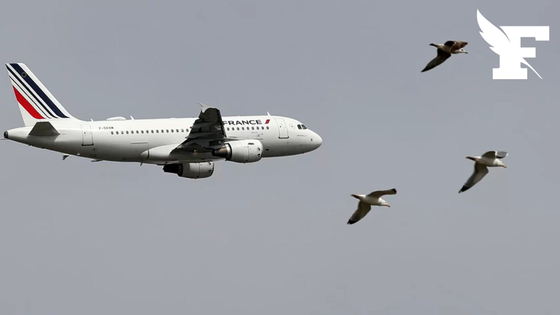 Air France : le cancer du sein d'une hôtesse reconnu comme maladie professionnelle