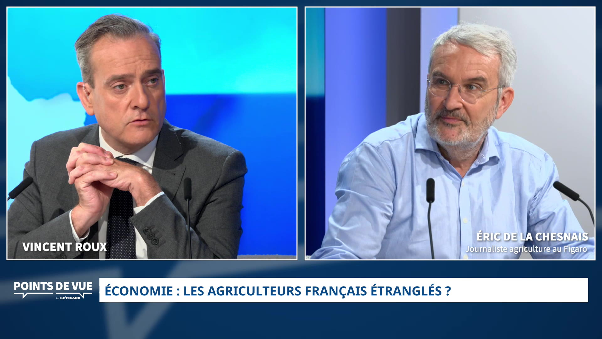 Économie : les agriculteurs français étranglés ? Le point de vue d’Éric de la Chesnais