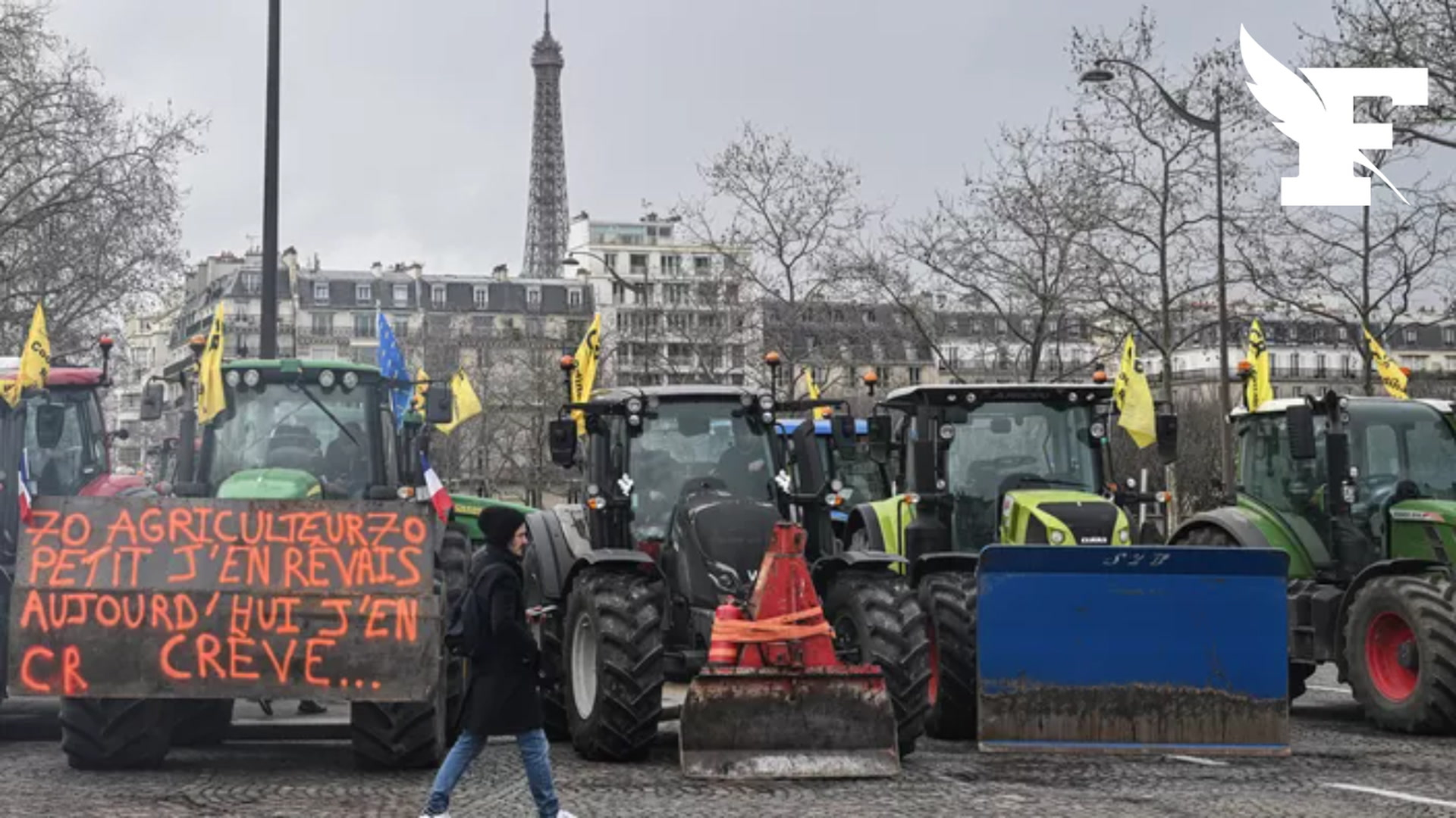 «Interdisons le Nutella»: les agriculteurs demandent au gouvernement de la cohérence avec l’arrêt de l’acétamipride