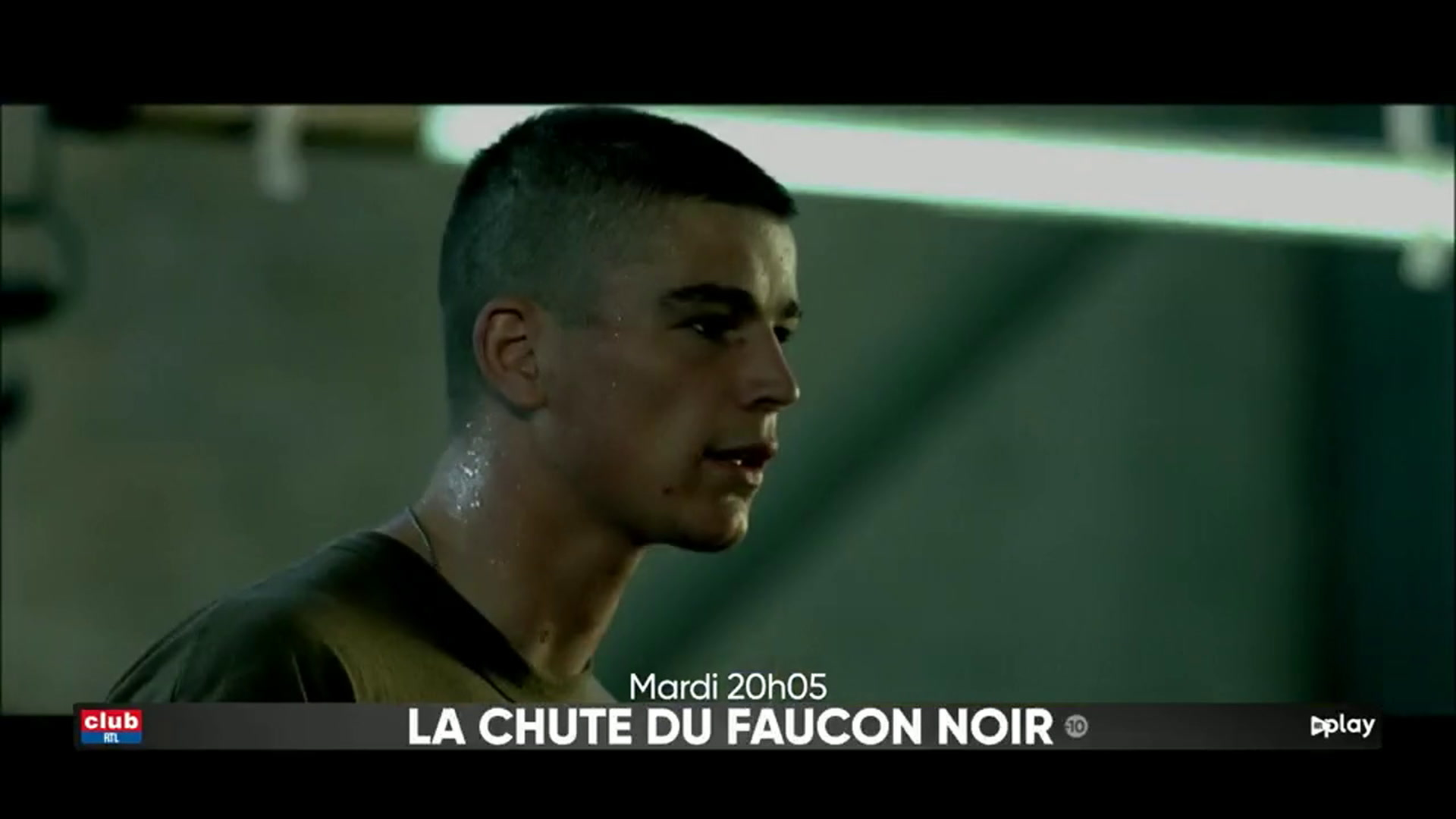 La chute du faucon noir