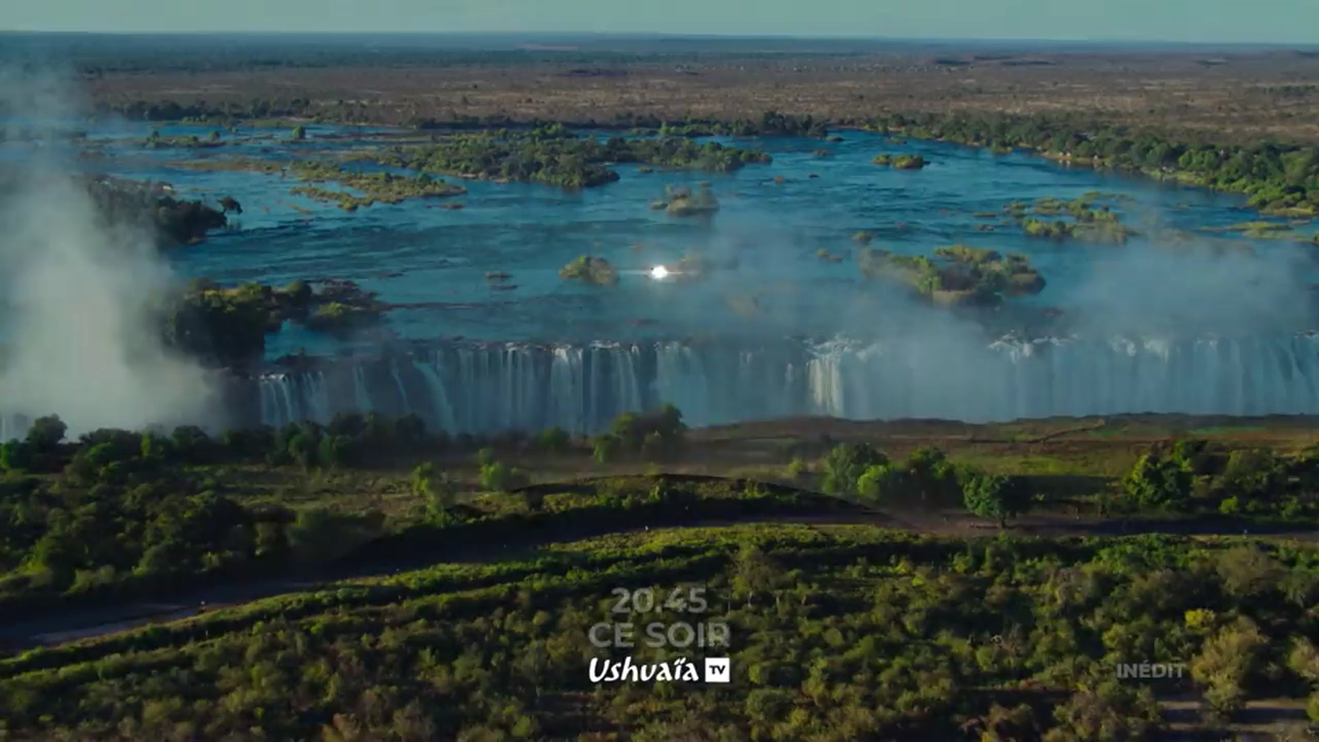 Les babouins des chutes Victoria