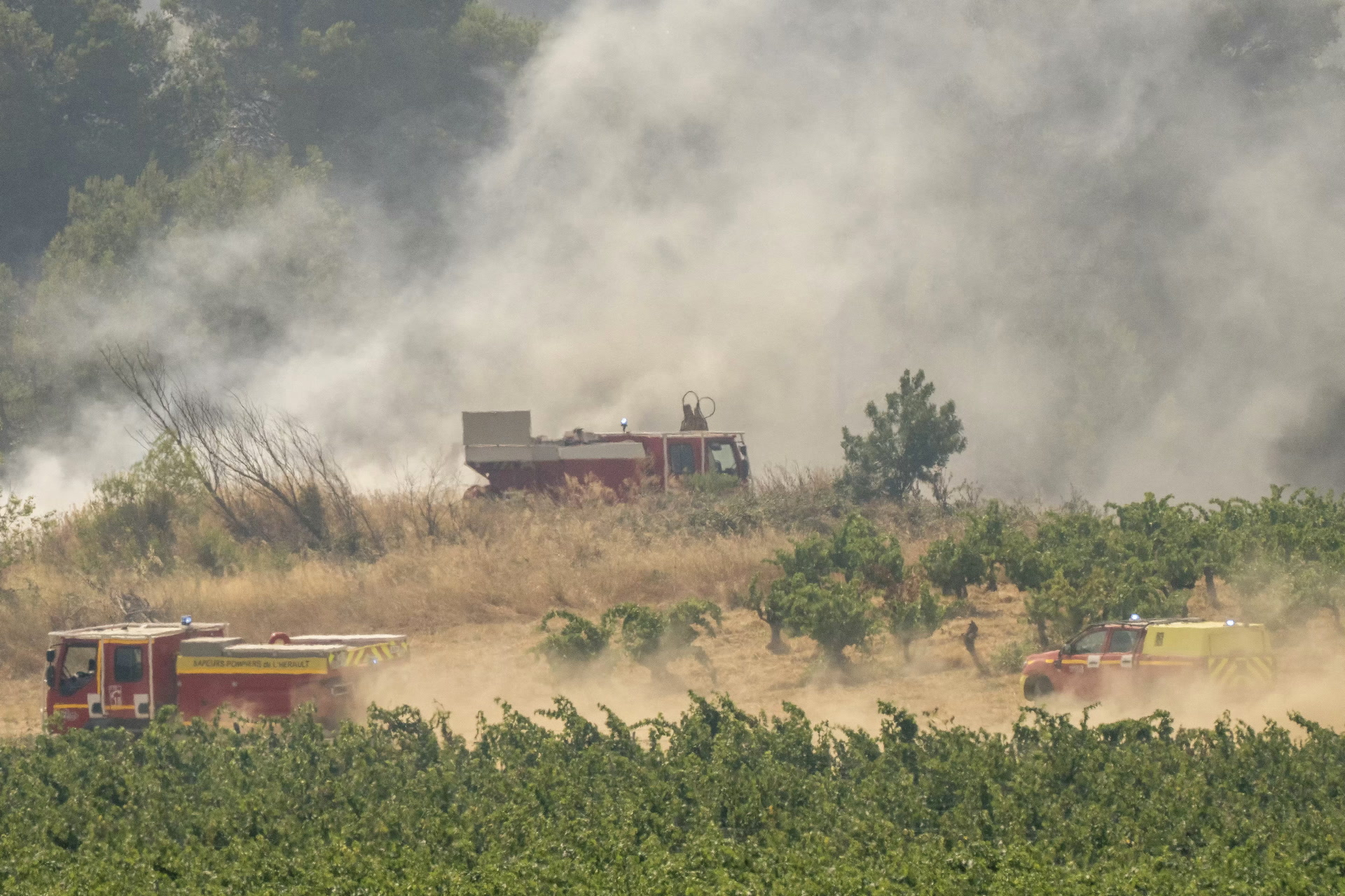 «Les vignes sont le meilleur Canadair !»