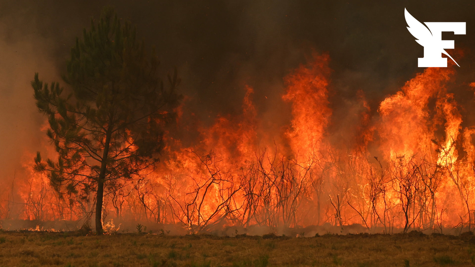 Industrie de défense, spatial, nucléaire: en Gironde, les sites sensibles sous haute surveillance face aux incendies