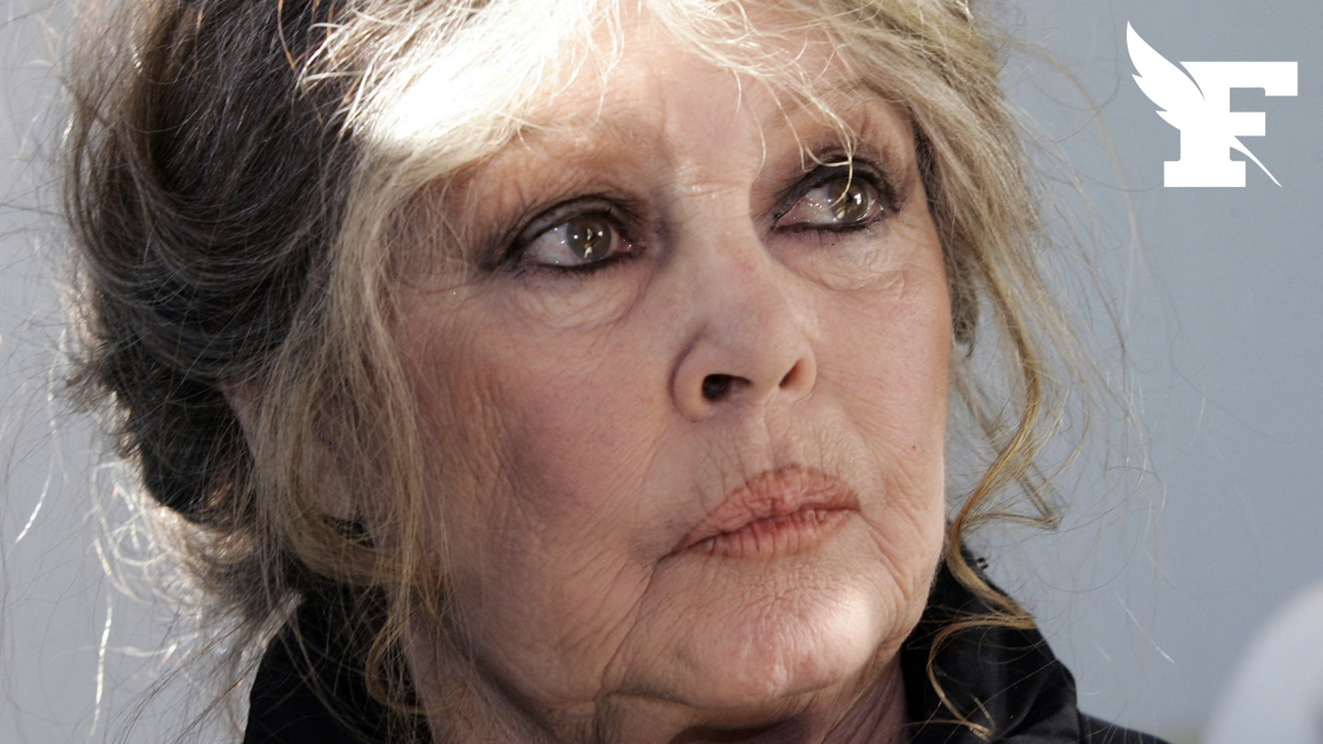 «Le féminisme, c'est pas mon truc»: Brigitte Bardot affiche son soutien à Gérard Depardieu et Nicolas Bedos