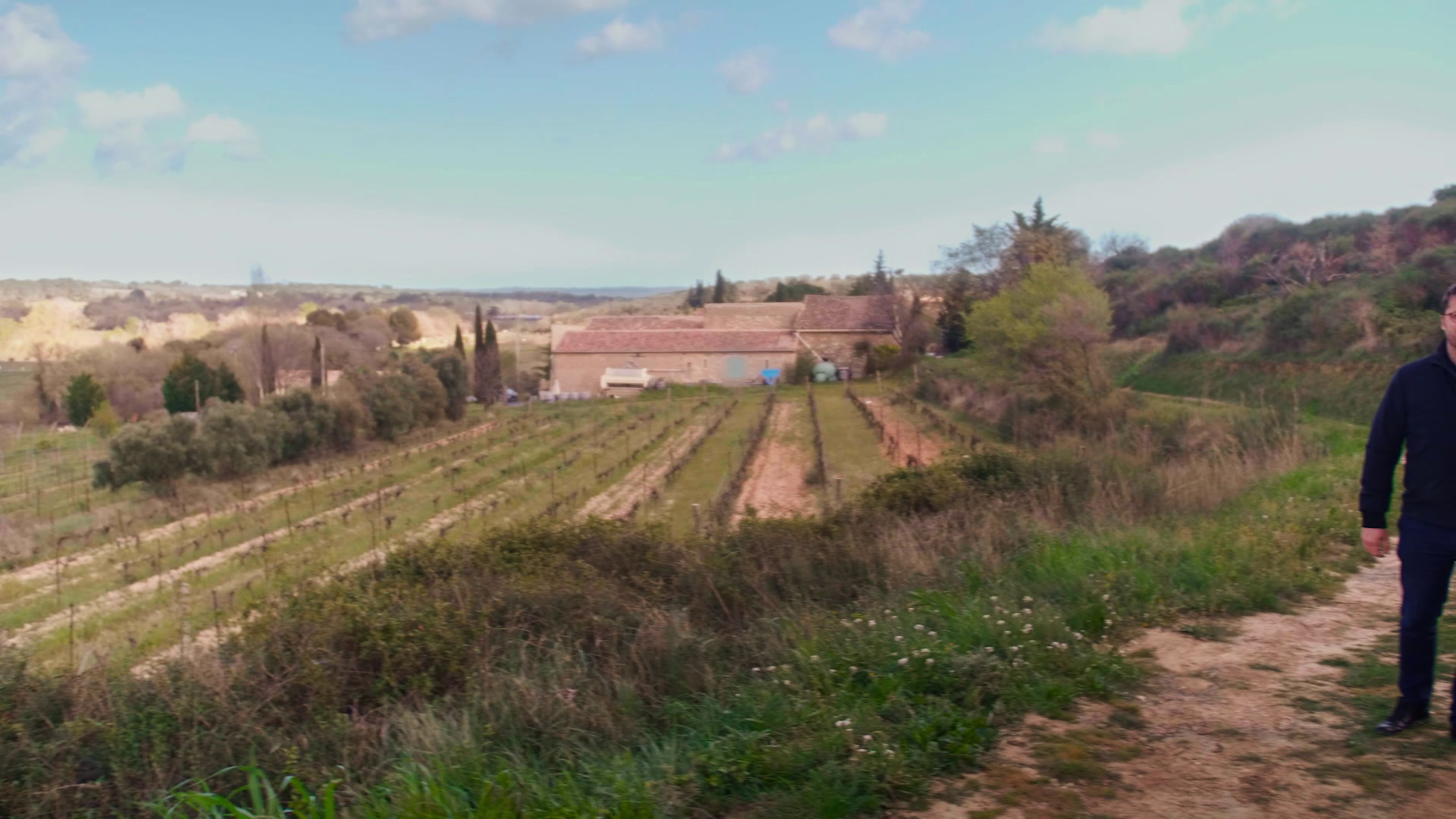 De la ville à la vigne : portrait de néo-vignerons