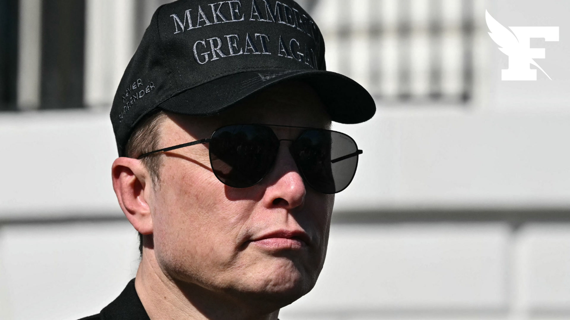 Elon Musk consommerait à la fois de la kétamine, de l'ecstasy et des champignons hallucinogènes