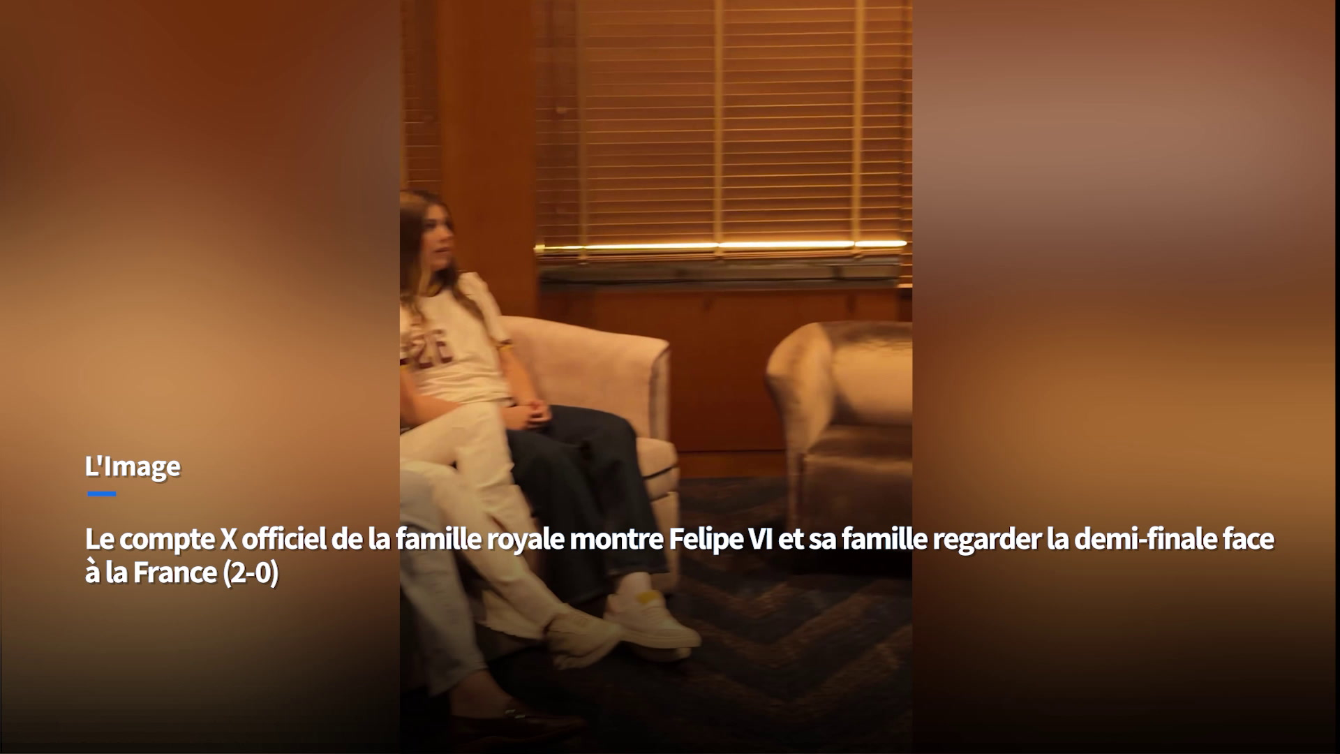 «Un théâtre», «tout est faux» :  en Espagne, les images moquées de la joie du roi Felipe VI après la victoire face à la France