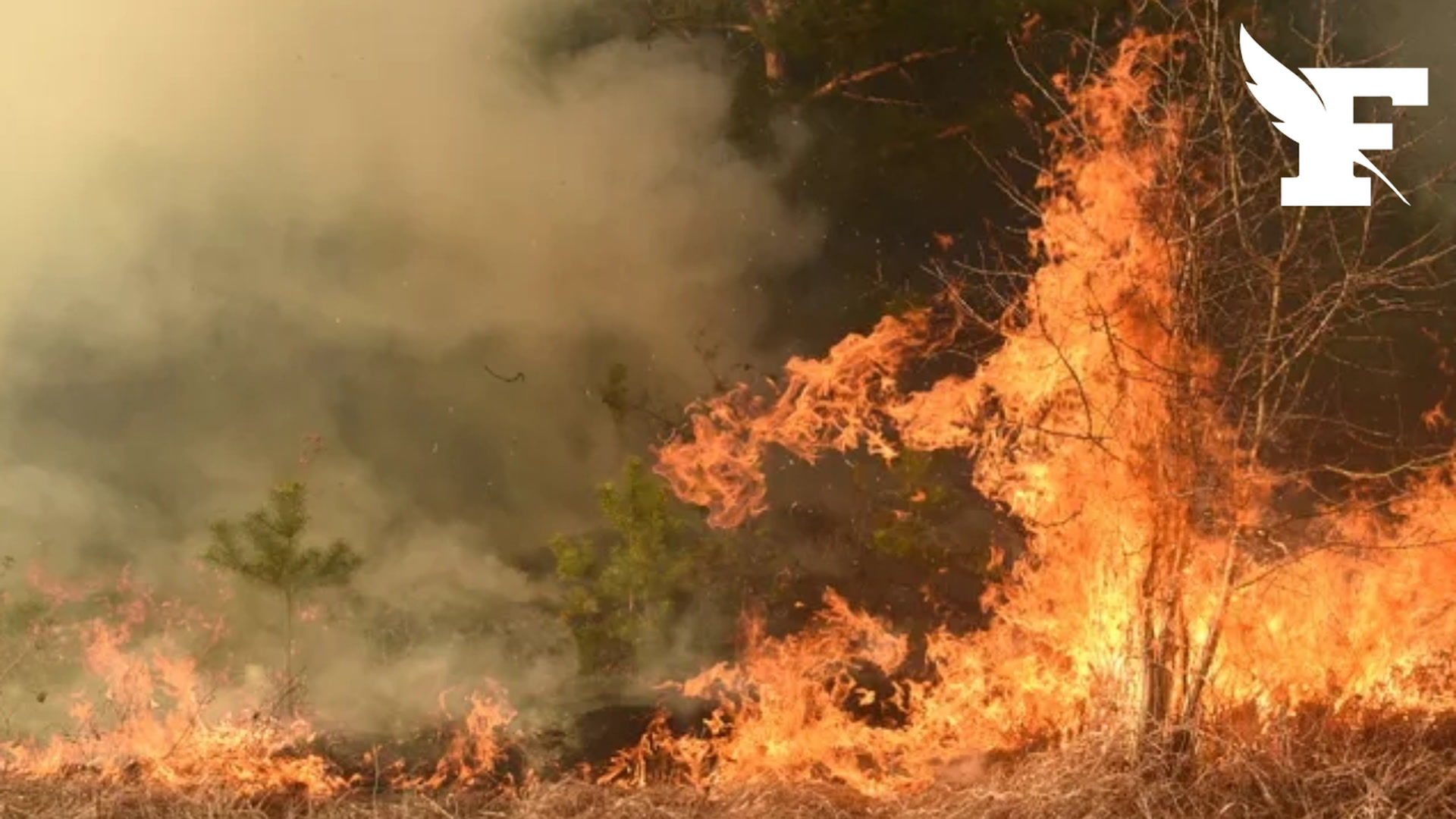 Charente : 12 ans de réclusion criminelle pour l'auteur de 32 incendies