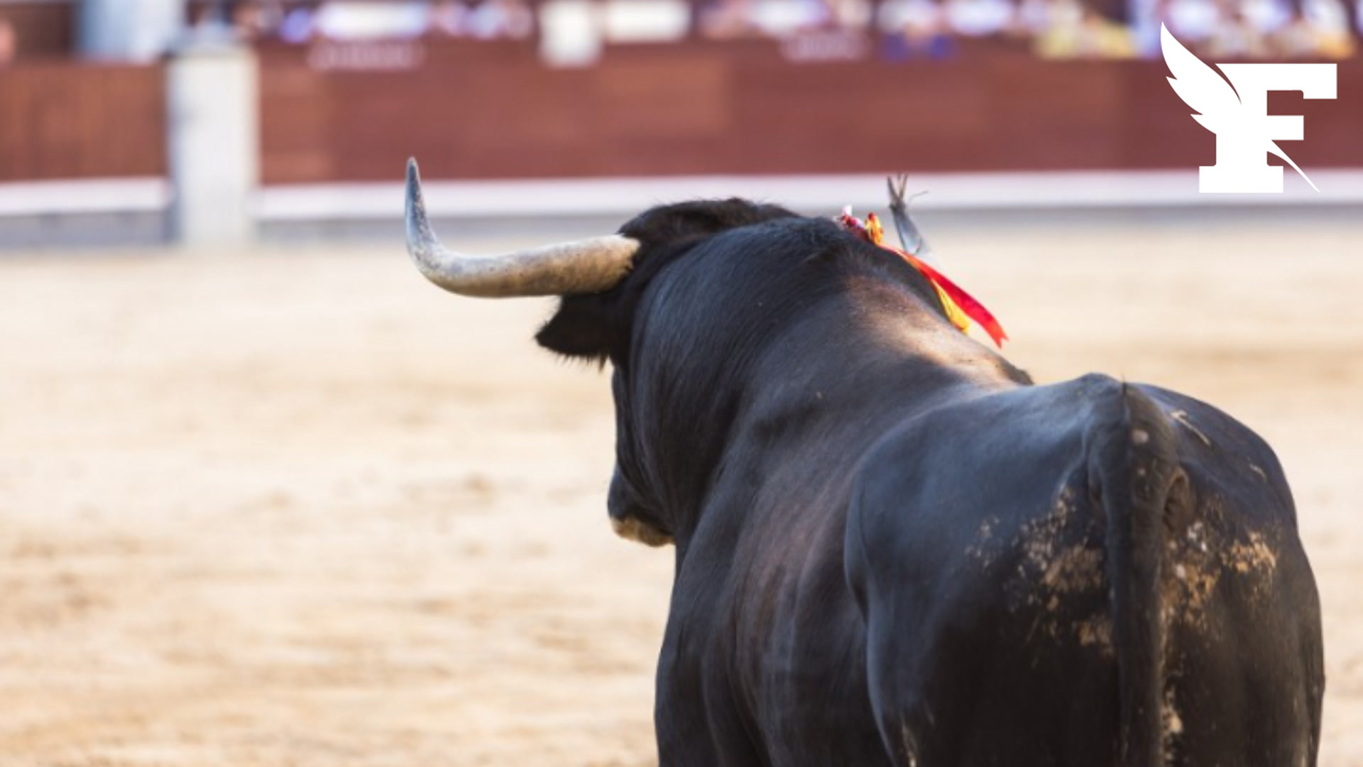 Palavas-les-Flots : la corrida prévue le 10 octobre interdite par la justice
