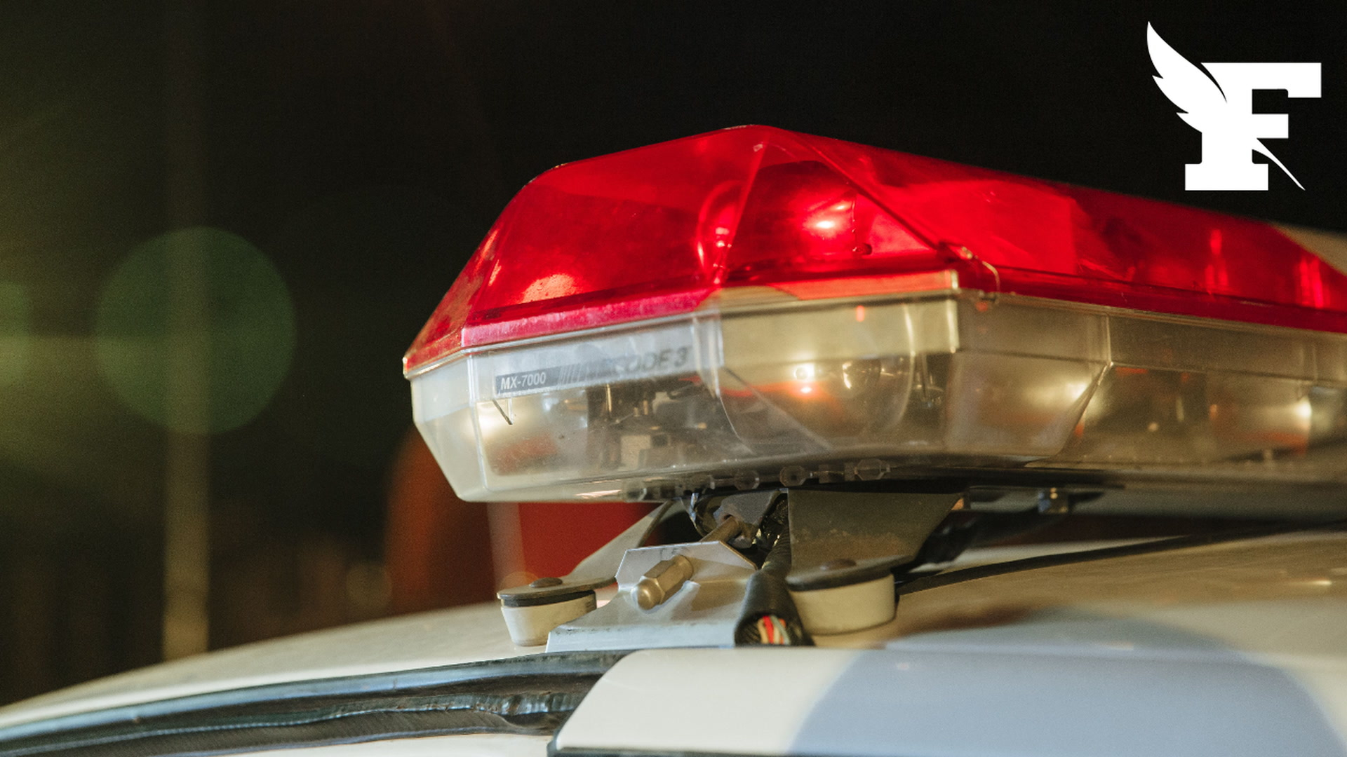 Saint-Étienne : une mère de famille placée en garde à vue après la découverte du corps d'un nourrisson dans une poubelle