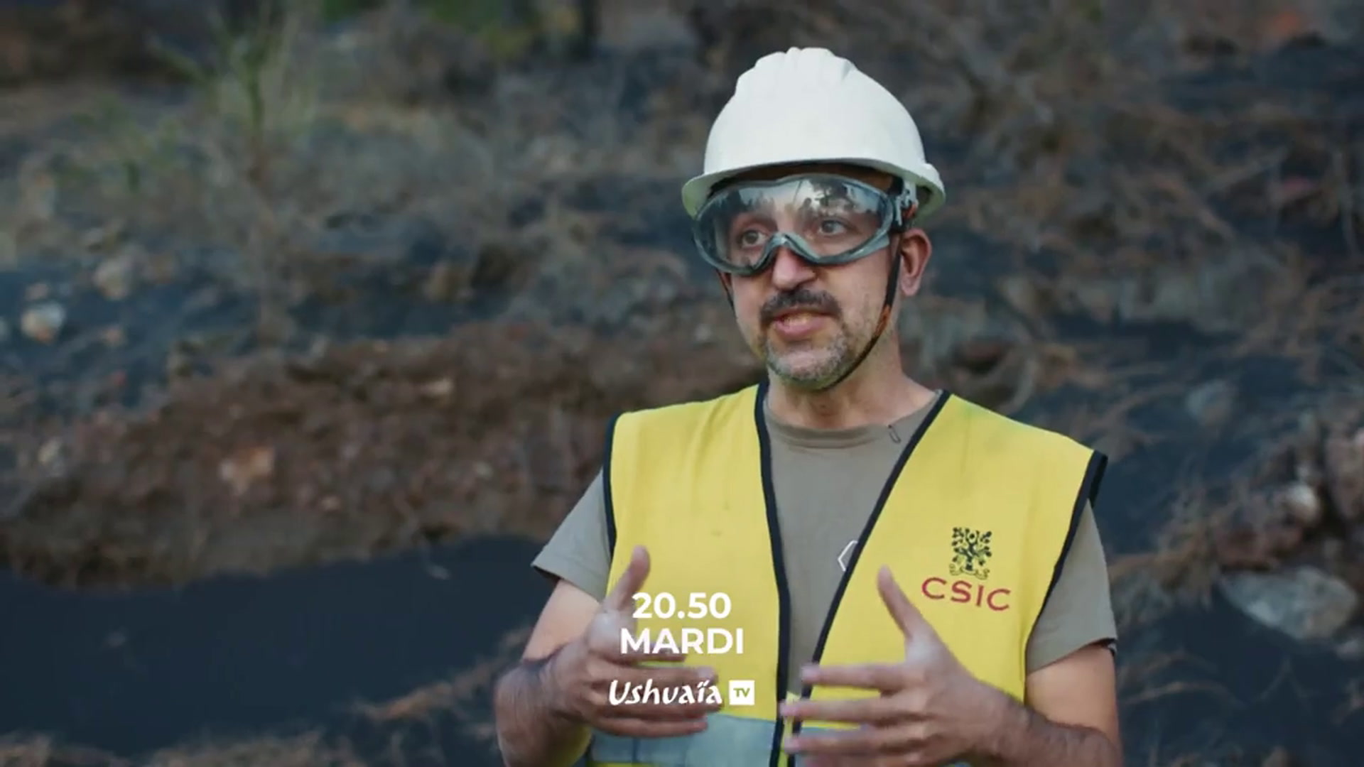 Le volcan de la Palma : la vie après l'éruption