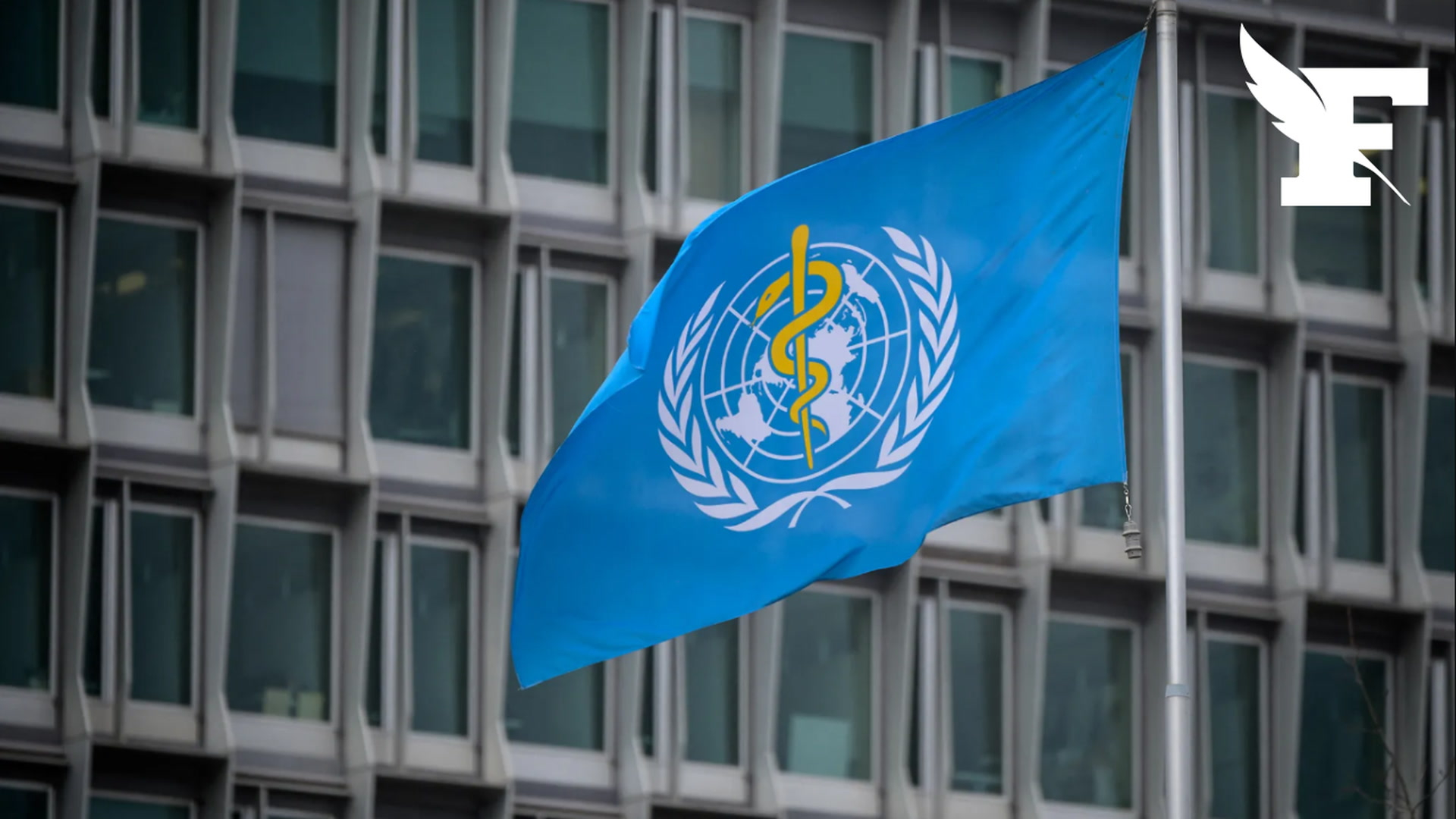Ebola en RDC : l'OMS espère des essais cliniques de vaccins dès octobre 2026