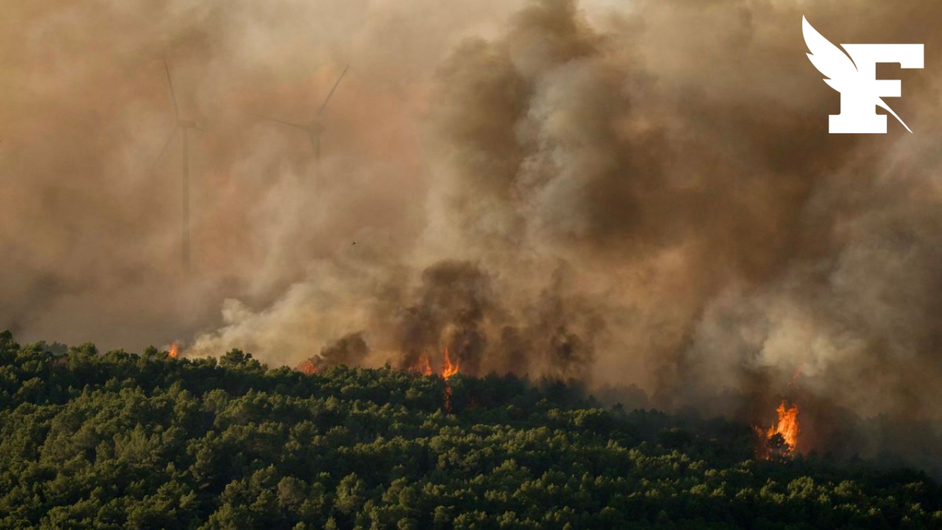 Hérault : arrestation d'un suspect pour neuf départs de feu dimanche 5 juillet