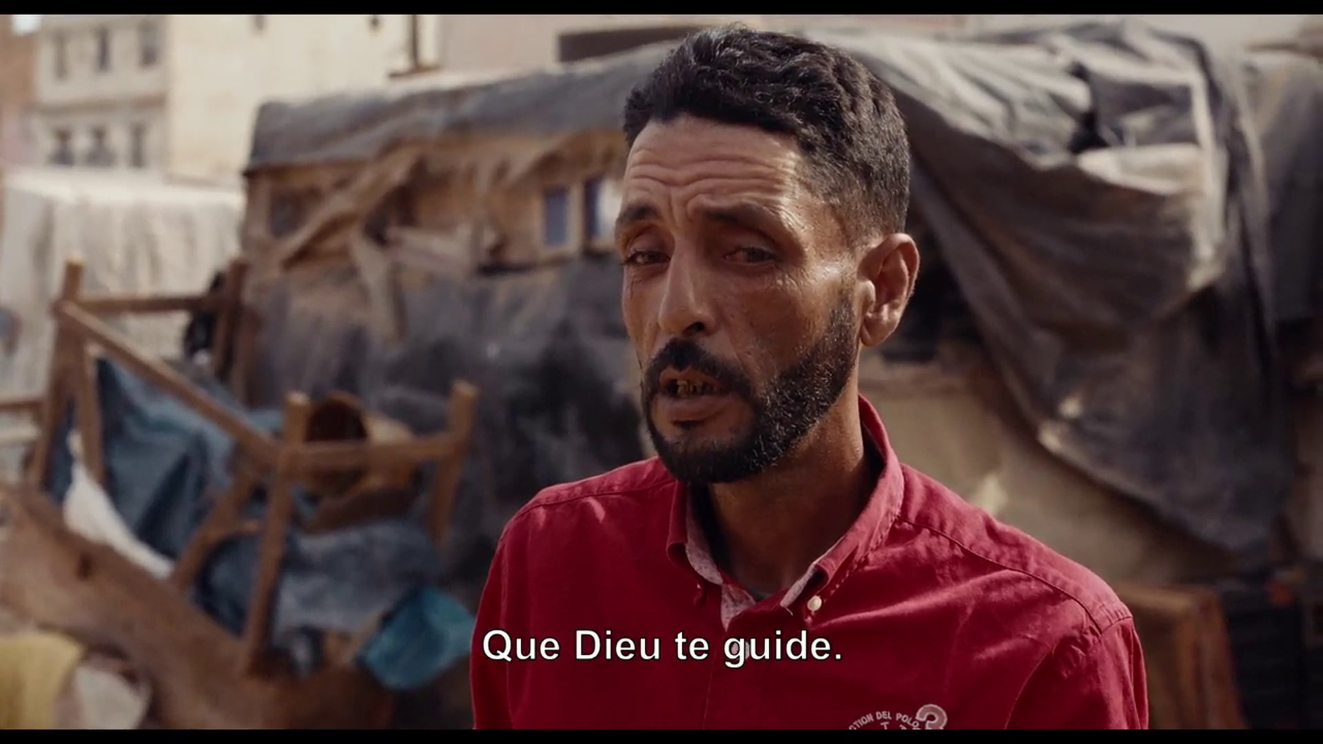 Les meutes